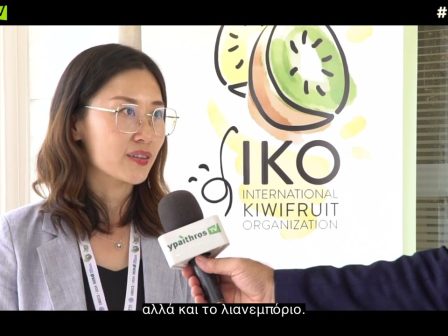 stella-hao-43rd-iko-conference-2024-1787