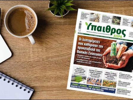 ypaithros-chora-spot-01-11-2024-3579