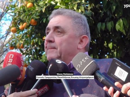 k-loufakis-o-doryforos-den-vlepei-synora-4057