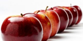 Παραλαβές μήλων για χυμοποίηση από τον Κτηνοτροφικό Συνεταιρισμό Αρκαδίας