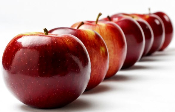Παραλαβές μήλων για χυμοποίηση από τον Κτηνοτροφικό Συνεταιρισμό Αρκαδίας
