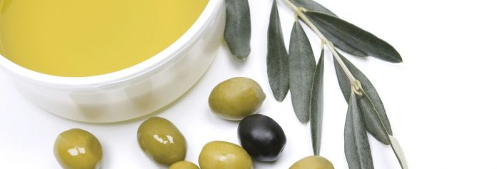 ελιά - ελαιόλαδο ελιά - ελαιόλαδο