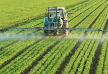 Ανακοίνωση της ΔΑΟΚ ΠΕ Μεσσηνίας για την εφαρμογή ζιζανιοκτόνων