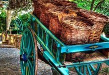 Ένα μουσείο αγροτικής οικονομίας στην Χίο