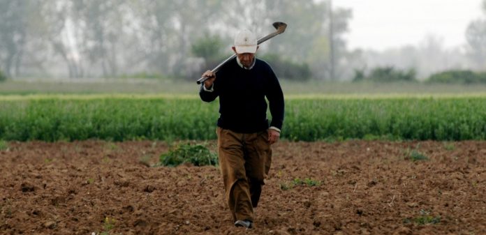 «Πόρτα» για επιστροφή φόρου σε αγρότες - εξαγωγείς «Πόρτα» για επιστροφή φόρου σε αγρότες - εξαγωγείς