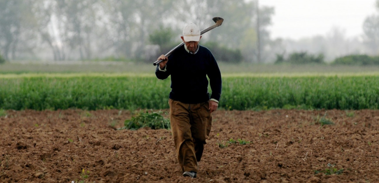 psifisma-geotee-an-makedonias-ta-metra-plittoun-amesa-agrotes-kai-paragogi-5004