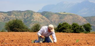 Σ.Α.Σ.Ο.Ε.Ε.: Ύψιστη προτεραιότητα για το ΥΠΑΑΤ η πληρωμή των επιδοτήσεων των αγροτών
