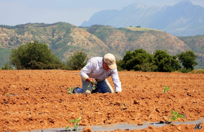 Σ.Α.Σ.Ο.Ε.Ε.: Ύψιστη προτεραιότητα για το ΥΠΑΑΤ η πληρωμή των επιδοτήσεων των αγροτών