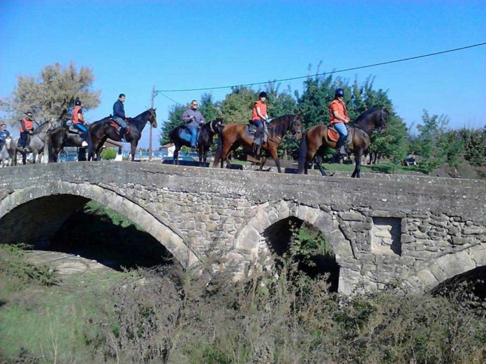 Βγήκαν τα… άλογα στα Μεγάλα Καλύβια Τρικάλων