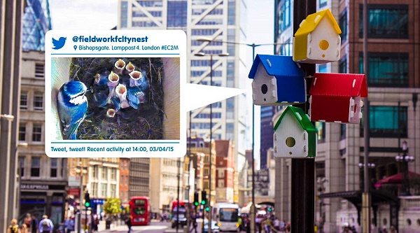 Φροντίζοντας τα πουλιά της πόλης μας