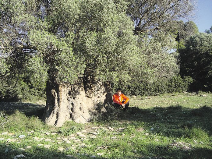 Οι φρουροί της Αττικής γης είναι 3.000 χρόνων Οι φρουροί της Αττικής γης είναι 3.000 χρόνων