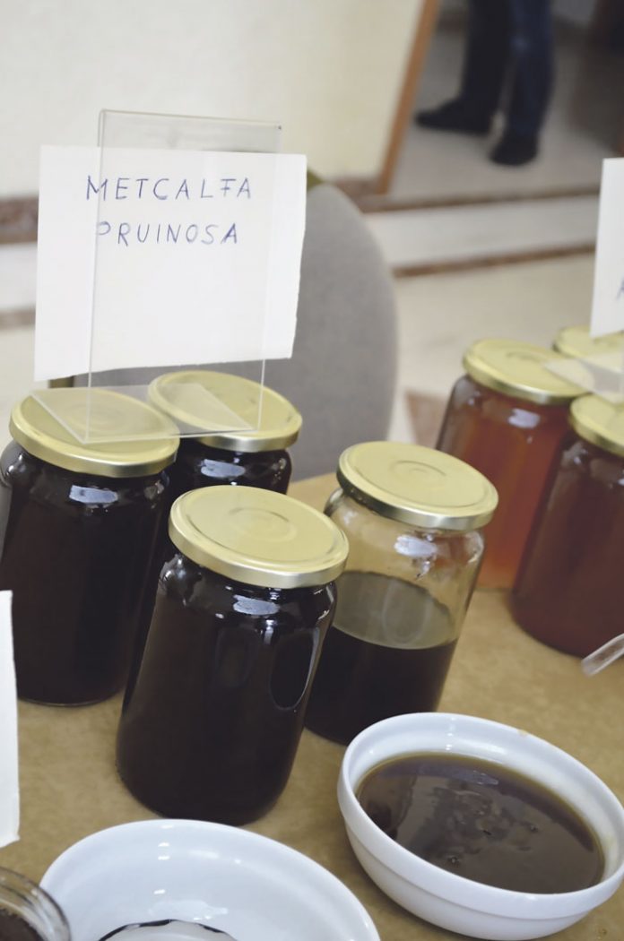 Σουφλί: Μέλι από το έντοµο metcalfa. Κι όµως υπάρχει! Σουφλί: Μέλι από το έντοµο metcalfa. Κι όµως υπάρχει!