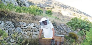 Έγκριση πίστωσης για παραγωγή και εμπορία προϊόντων μελισσοκομίας