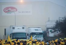 Ιταλία: Ξεσηκώθηκαν oi γαλακτοπαραγωγοί κατά της Lactalis