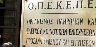 Πιστώθηκε η ειδική ενίσχυση στα μικρά νησιά του Αιγαίου για τους ελαιώνες ύψους 8,6 εκατ. ευρώ