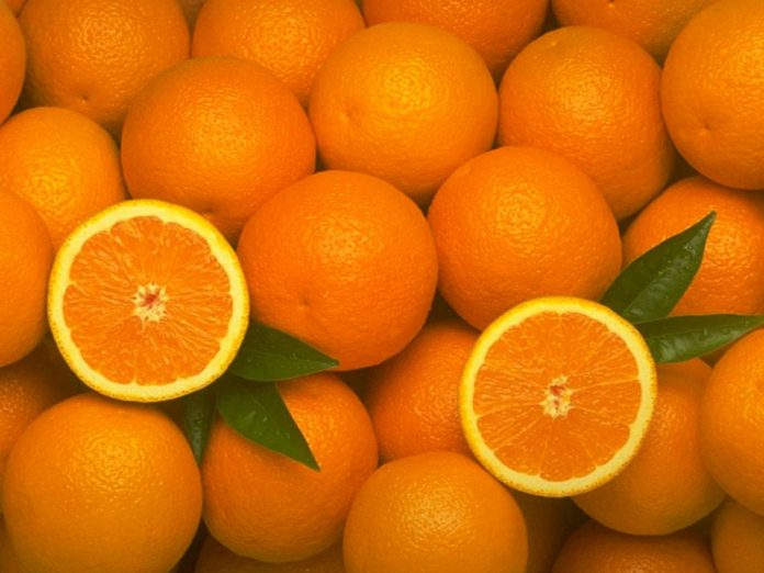 Ανακάτεμα ισπανικών πορτοκαλιών με αιγυπτιακά καταγγέλλουν οι Ισπανοί
