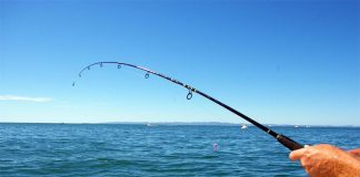 Κάλεσμα του ΙΝΑΛΕ σε ερασιτέχνες αλιείς για τη συμπλήρωση αλιευτικού ημερολογίου
