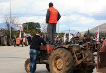 Προειδοποιητική συγκέντρωση διαμαρτυρίας, στις 9 Οκτωβρίου στην κεντρική πλατεία Ορεστιάδας, αποφάσισε να διοργανώσει η Ομοσπονδία Αγροτικών Συλλόγων Έβρου “η Ενότητα”.