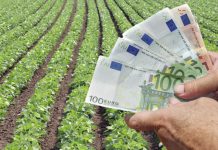 Αγρότες με εισόδημα μόλις 5.000€ σύμφωνα με το ΥΠΟΙΚ