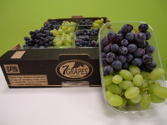 m-bolaris-ypodeigma-i-7-grapes-ston-agrodiatrofiko-choro-11436
