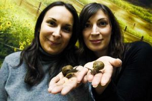 Φερέοικος: Τα σαλιγκάρια βρήκαν το σπίτι τους