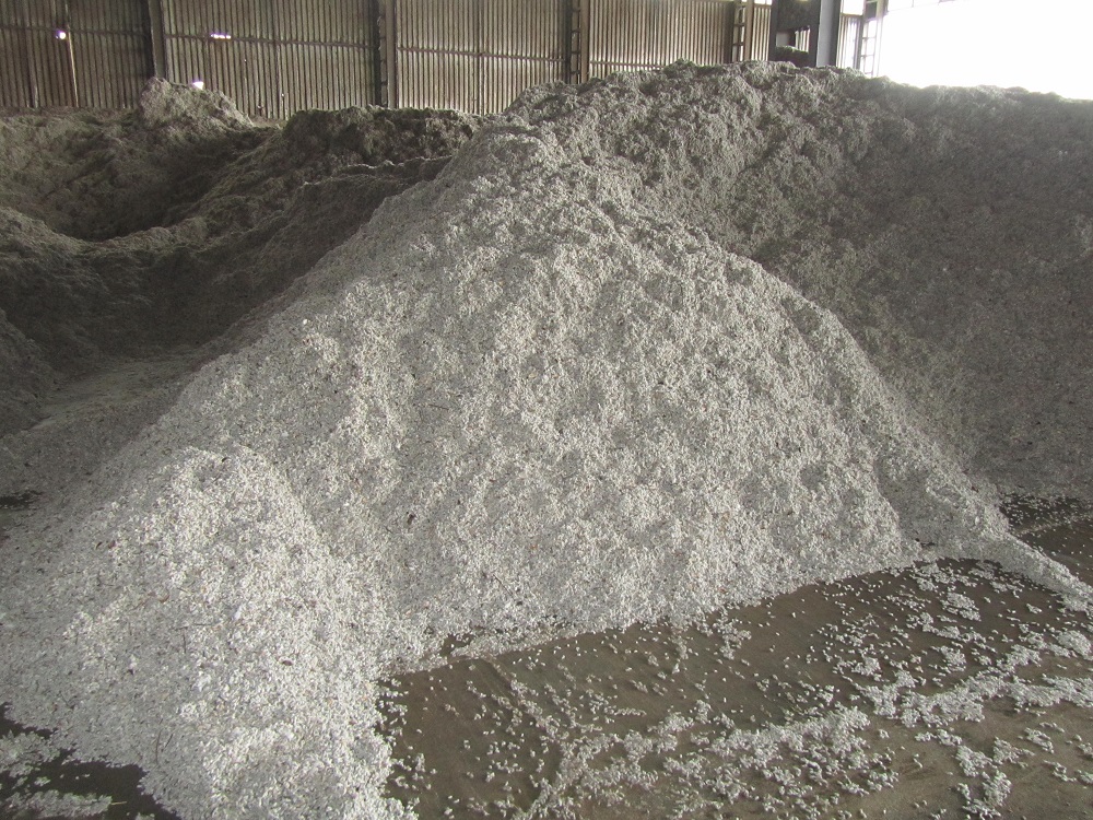 Οδοιπορικό: Η Ύπαιθρος Χώρα στον κάμπο του βαμβακιού