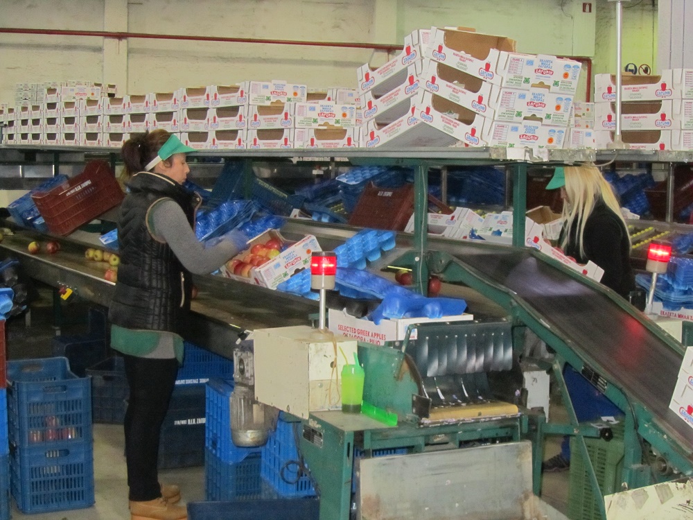 Η «Ύπαιθρος Χώρα» στην Ζαγορά Πηλίου