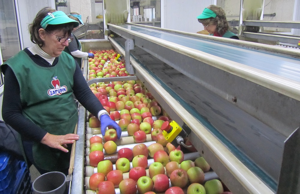 μήλα από τους παραγωγούς Ζαγορά Πηλίου