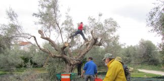 Παράταση έως 28/9 στους ΟΕΦ για το αίτημα προκαταβολής υλοποίησης προγραμμάτων εργασίας