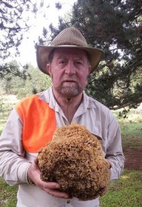 Τα μανιτάρια των θεών