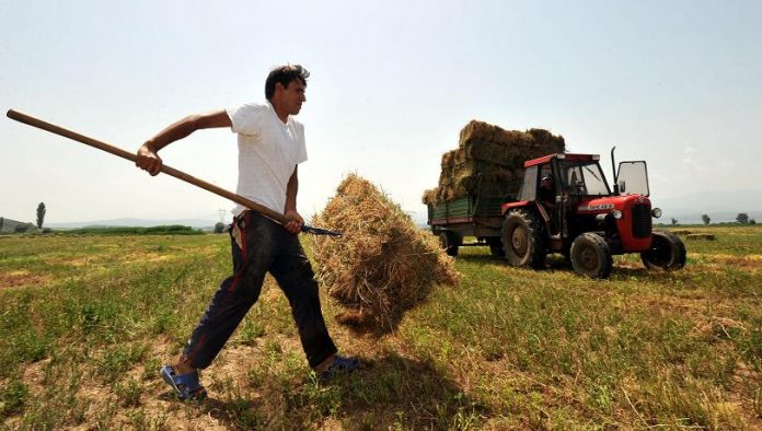 Οδηγίες ΟΠΕΚΕΠΕ για την πληρωμή ανειλημμένων υποχρεώσεων σε νέους αγρότες του 2009