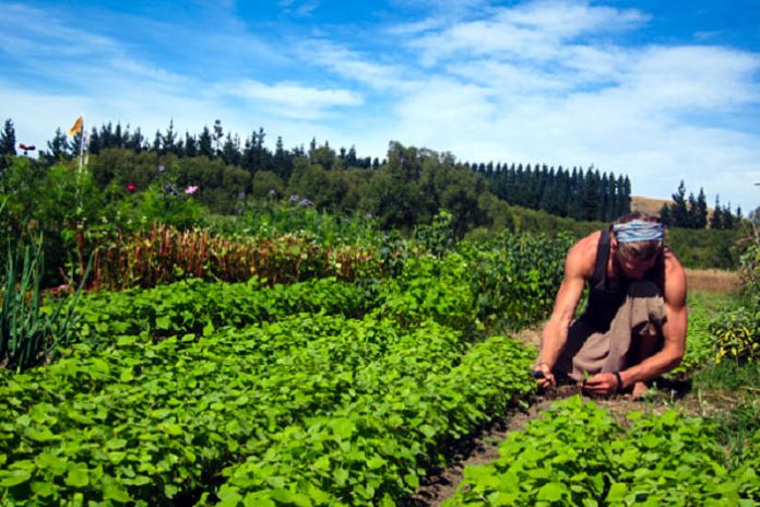 agrotourism2