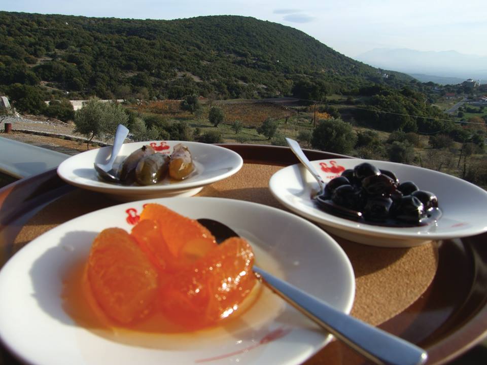 Ένα Ψάρι πάνω στα βουνά της Αρκαδίας!