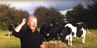 Ένας αγρότης χορεύει Dire Straits! (βίντεο)