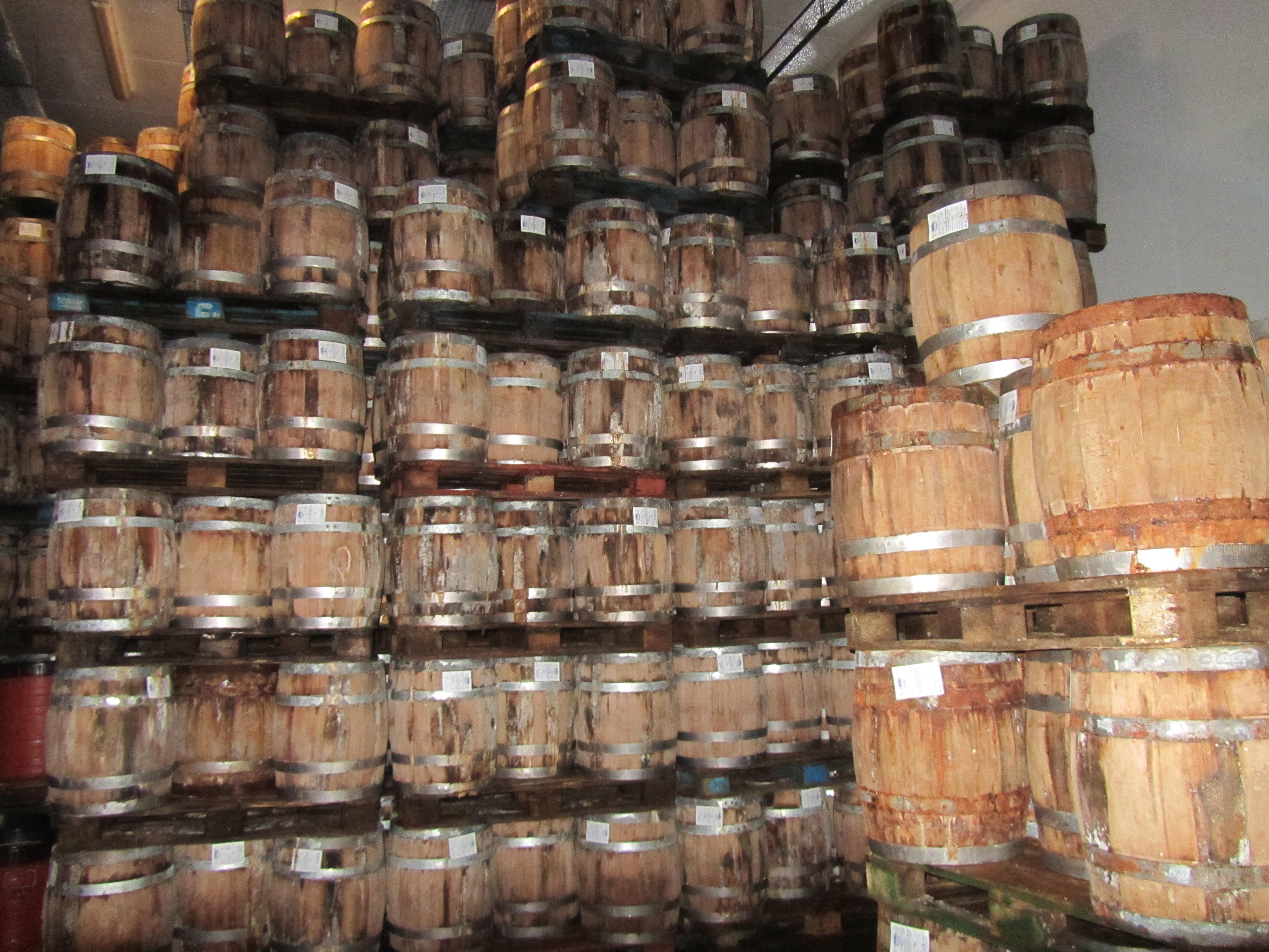 Οδοιπορικό: Η «ΥΧ» στην ΑχαΪα