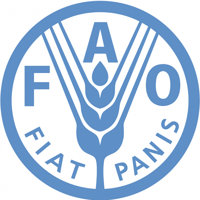 FAO: 795 εκατ. άνθρωποι υποφέρουν από χρόνια πείνα