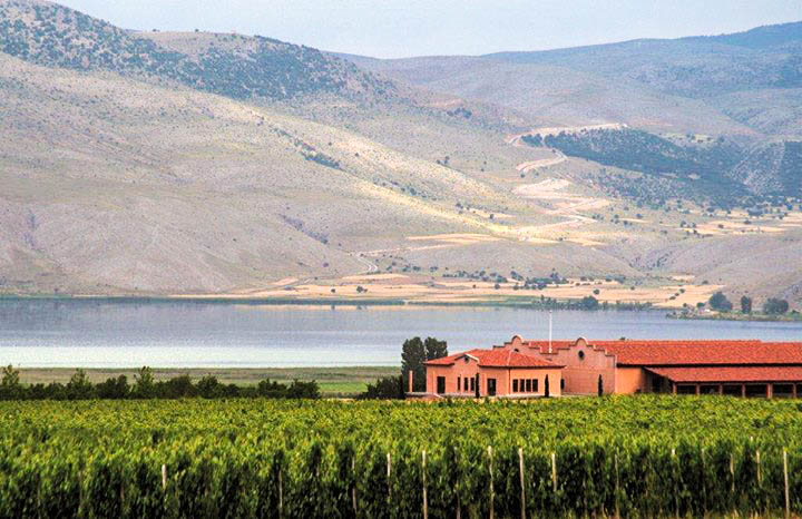 Οι άνθρωποι του κρασιού, στις όχθες της Βεγορίτιδας