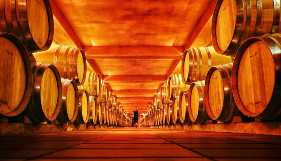 Οι άνθρωποι του κρασιού, στις όχθες της Βεγορίτιδας