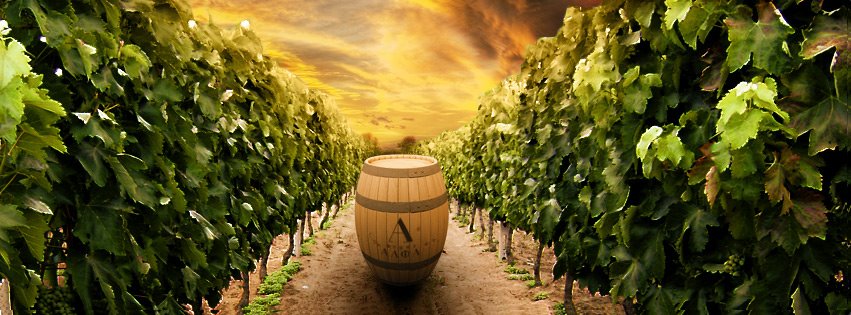 Οι άνθρωποι του κρασιού, στις όχθες της Βεγορίτιδας