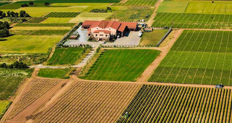 Οι άνθρωποι του κρασιού, στις όχθες της Βεγορίτιδας