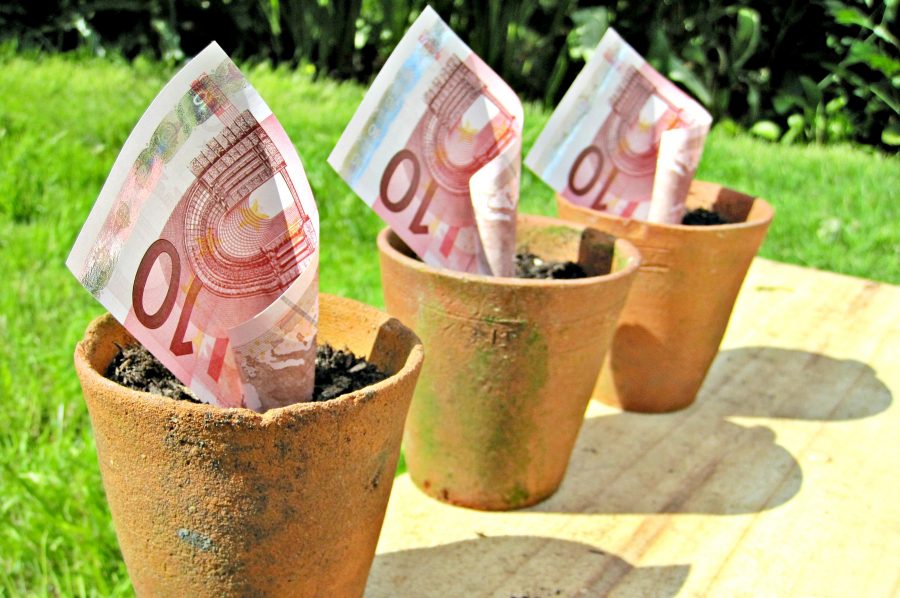 se-exelixi-i-pliromi-ton-agroperivallontikon-stadiaka-kai-ta-viologika-7171