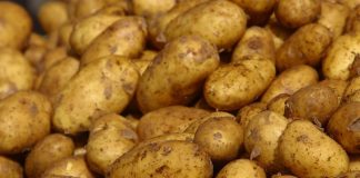 Δέσμευση 6 τόνων πατάτας σε επιχείρηση του Ρέντη