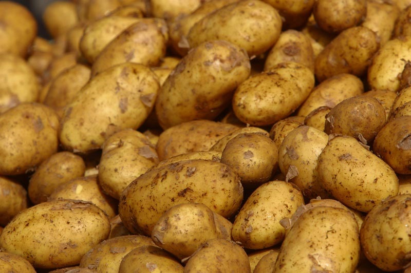 katepeigousa-entoli-gia-elegchous-se-patates-nevrokopiou-7202