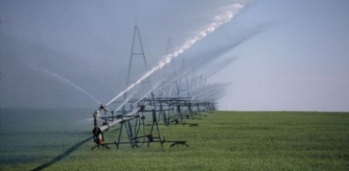 Κινδυνεύει η αγροτική παραγωγή της Ηλείας Κινδυνεύει η αγροτική παραγωγή της Ηλείας