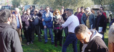 Με επιτυχία διεξήχθη το σεμινάριο του Ινστιτούτου Χανίων για την ελαιοκομία στη Στυλίδα