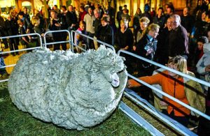 Ένα πρόβατο που την είδε Χίππης! (φώτο)