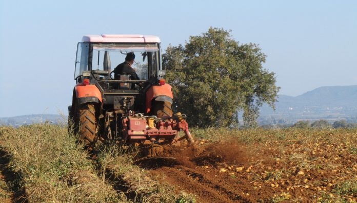 Έως 30 Δεκεμβρίου οι αιτήσεις για τα ιδρυτικά μέλη του νέου υπερ – συνεταιρισμού