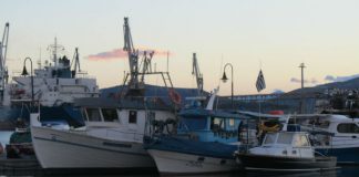 Χρήστος Ξυραδάκης: Κραυγή αγωνίας από τους αλιείς του Βόλου