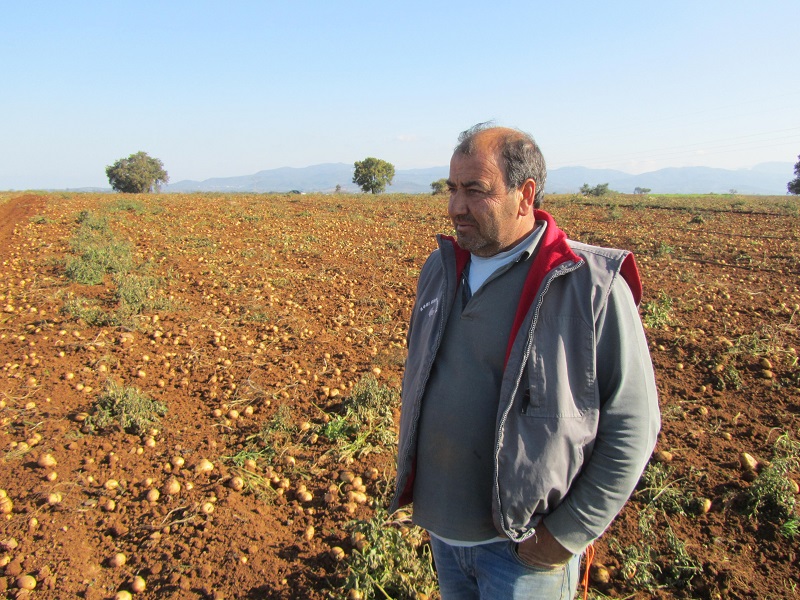 Οδοιπορικό: Η «Ύπαιθρος Χώρα» στην Ηλεία