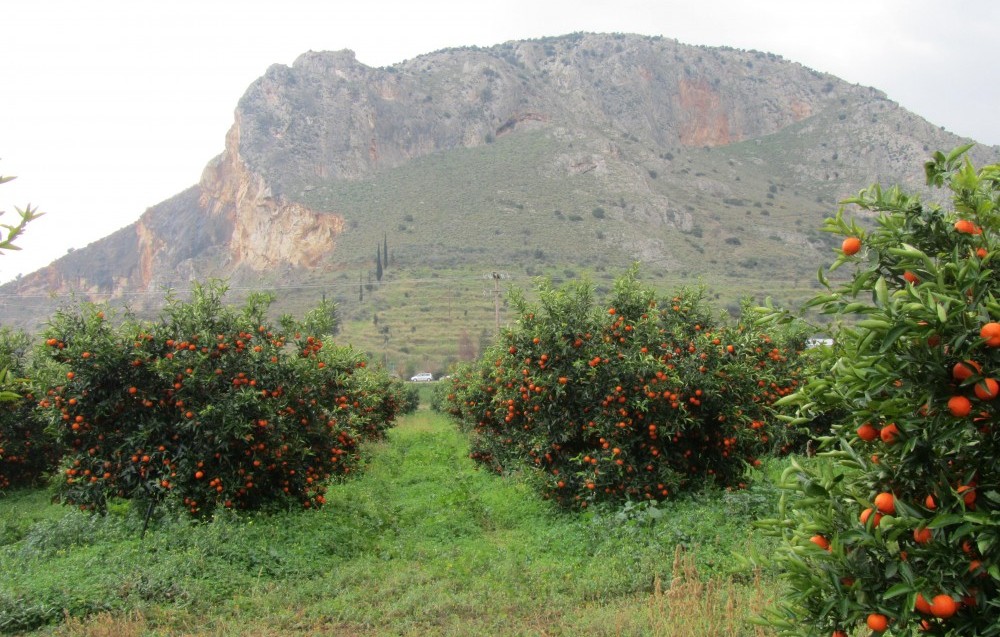 i-ypaithros-chora-stin-argolida-12113